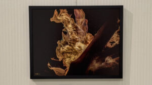 炎層相（えんそうそう） / Layers of Flame